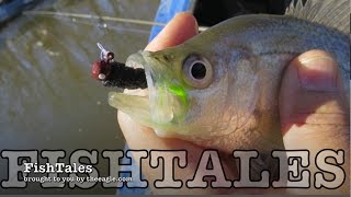 FishTales: Cold Fish - Hot Bite!