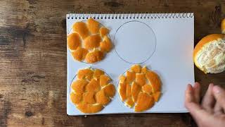 Sphere Surface Area