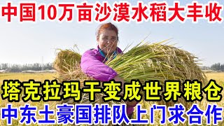 中国10万亩沙漠水稻大丰收，塔克拉玛干变成世界粮仓，中东土豪国排队上门求合作，联合国惊叹：简直不可思议！