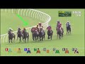 小梁論馬 11月7日沙田日賽 ｜ 女團體馬威！ ｜ 獨贏17倍位置5.6倍 ｜ 賽馬kol 小梁@kleagueworkshopken