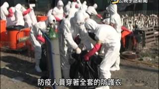 20150123 公視手語新聞 今日讀報 感染H5型禽流感 台中撲殺1200種鵝