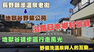 長野縣涉溫泉老街，到地獄谷野猿公苑，全程自駕，原始呈現，沿路日本鄉村景觀，到了地獄谷野猿公苑的噴泉，野猿洗溫泉與人的互動