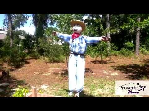 How To Make a Scarecrow How To Make a Scarecrow