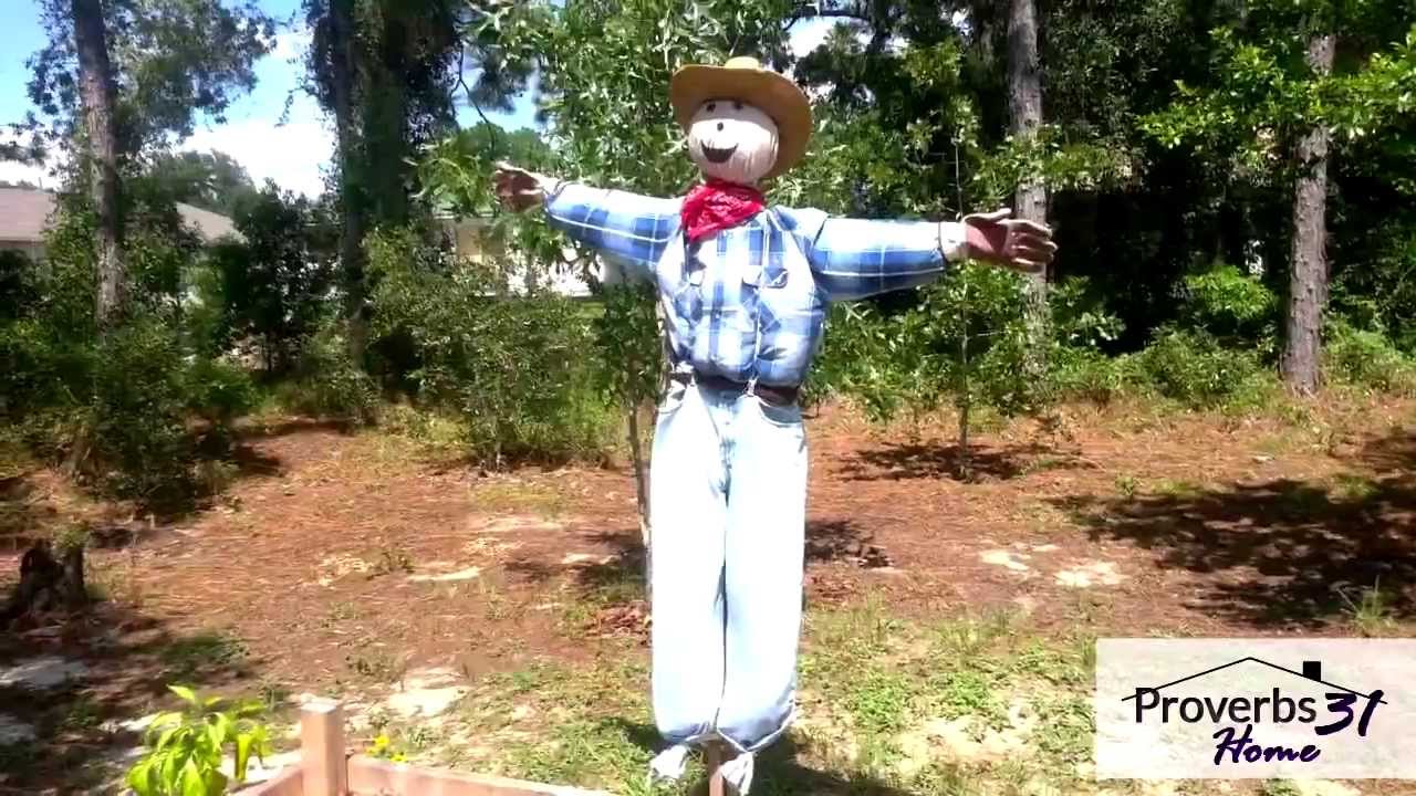 How To Make A Scarecrow Youtube