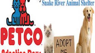 Mrbargainer Discount deals Dog and Cat Food from Petco