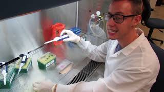 MSU Cell Biology (BIO320) - Cell Culture: Addition of Activated XTT Dye (Video 13)