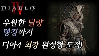 [디아블로4] 딜 + 탱 다되는 완성형 도적! 상세가이드