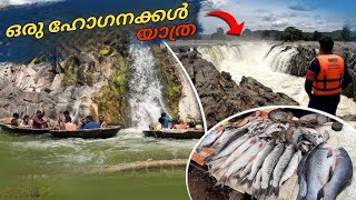 ബാംഗ്ലൂർ - ഹൊഗെനക്കൽ ട്രാവൽ ഗൈഡ്  | Bangalore to Hogenakkal Waterfalls | Malayalam Travel Vlog