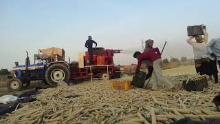 બાજરી કાઢવા હાલો 😁😁😜🤗💝🌾🌾#vadiye #khedut #moj #gamde #myvillage #minivlog #shortvideo #allboys #halar