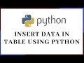 How to insert data in the table using python