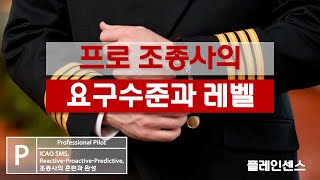 프로 조종사의 요구 수준과 레벨