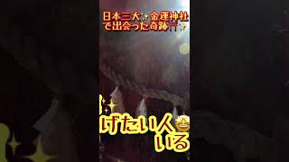 日本三大金運神社⛩で出会った神様のサイン⚠️もっと金運アップしたい方はYouTube動画から#Shorts