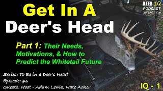 Get in a Deer's Head - Part 1: Needs,  Motivations, \u0026 How to Predict the Whitetail Future