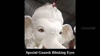 Special Ganesh Blinking Eyes || Global360