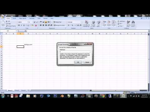 How to set password in MS Excel 2007 How to set password in MS Excel 2007