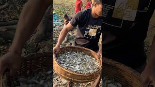 Tasty fresh fish! Village fisherman! #tasty #fresh #fish #shorts #fisherman