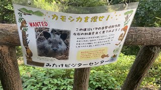 【御岳山】武蔵御嶽神社までハイキング