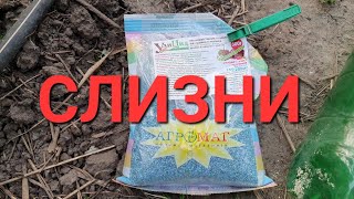 ФУНДУК и остальное уничтожает этот ВРАГ. Неожиданно...🐌🐌🐌2022 / hazelnuts 4219