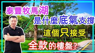 【飛說】惠州 大亞灣 泰豐牧馬湖  | 是什麼底氣支撐這個只接受全款的樓盤？@港致置業 ​