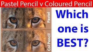 Colored Pencil vs Pastel Pencil, which is best for Wildlife Art?