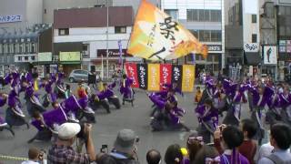 「大阪大学お祭りダンスサークル“祭楽人” 」　龍馬よさこい2016