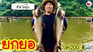 ยกยอ อ่างห้วยจำตอง ►Fishing lifestyle Ep.360