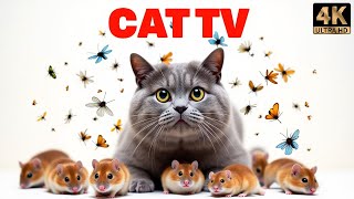 Cat TV for Cats | Mice Playing Hide \u0026 Seek 🐭 Non-Stop Action for Curious Cats!