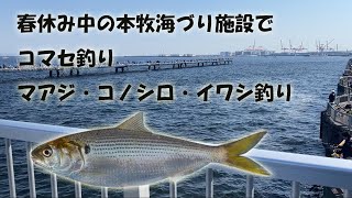 初の東京23区外遠征！春休み中の本牧海づり施設でコマセ釣り