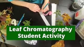 Leaf Chromatography Activity - Students