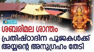 ശബരിമല ശാന്തം, പ്രതിഷ്ഠാദിന പൂജകള്‍ക്ക്് അയ്യന്റെ അനുഗ്രഹം തേടി