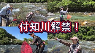 爆釣！？好スタート【付知川アユ解禁】中日スポーツ解禁取材