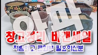 #신비화분(#신비의다육정원)- 창고정리 바겐세일... 저렴하고 큰 화분 필요하신분 오세요