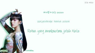 Download SECRET NUMBER(시크릿넘버) DOXA (독사) [Han/Rom/Ina] Color Coded Lyrics Lirik Terjemahan Indonesia mp3