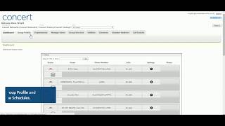 Phone portal: Time schedules and Call forward selective features