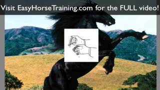 Rearing Remedy to stop your horse rearing for GOOD!