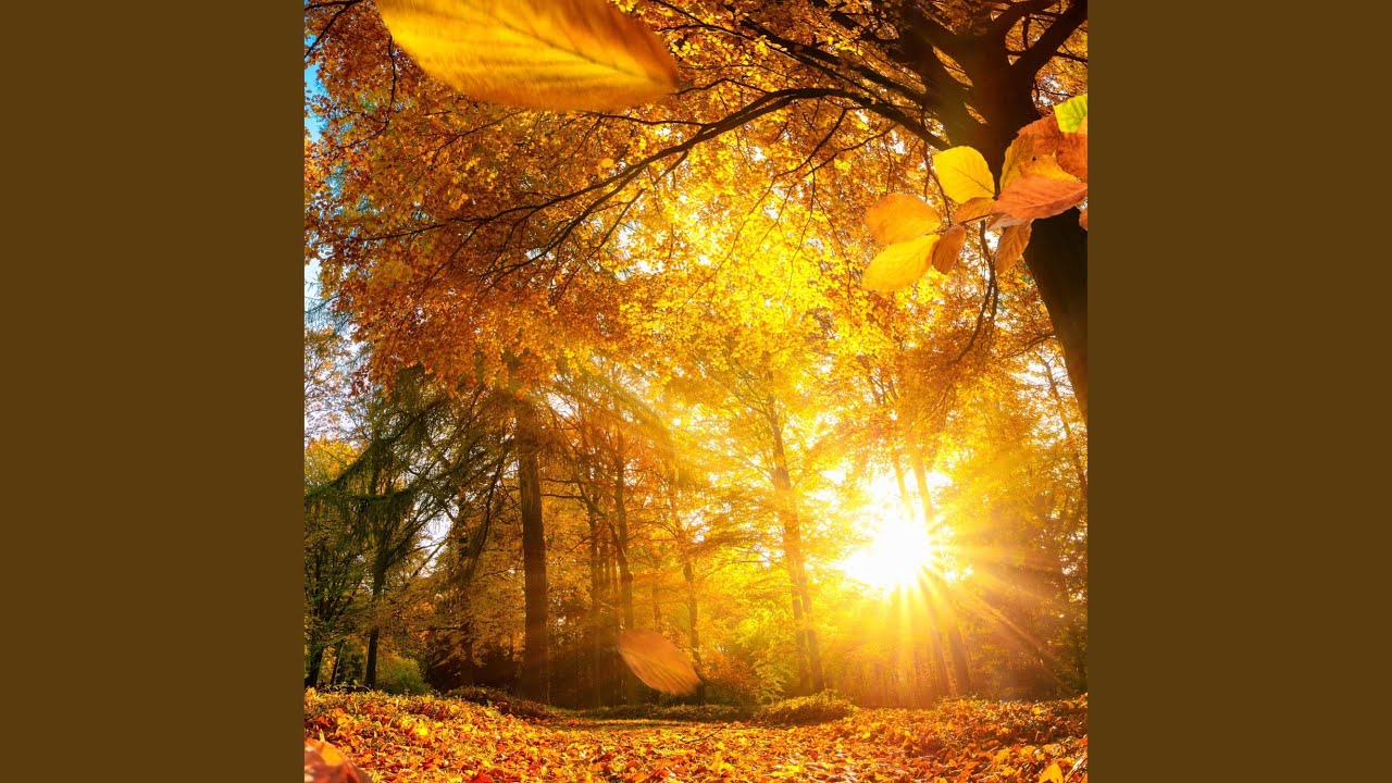 528hz Good Morning Music Youtube Music