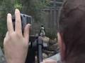 CBBC Newsround - Penguin Tracking System