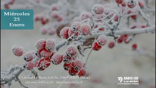 La Buena Semilla - 25 de Enero (Como un árbol en el bosque)