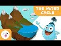 The water cycle for kids - What is the water cycle? - Why does it rain? - Science for children