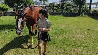 高雄市🔹馬術協會🐎橋頭馬術中心