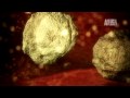 Monsters Inside Me: Man Speaks in Computer Code