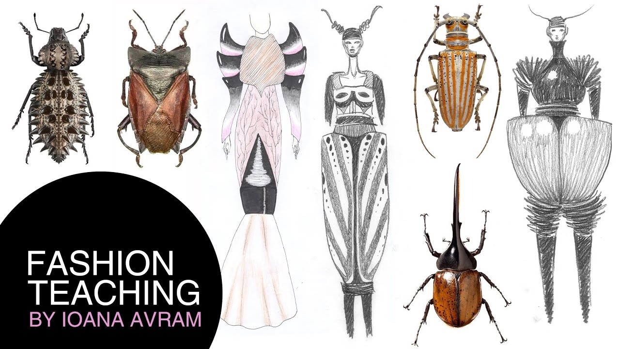 Fashion Collection Inspiration