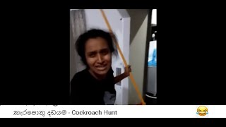 කැරපොතු දඩයම - Cockroach Hunt