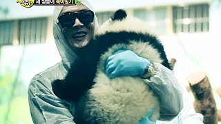 [Pet] Animals 애니멀즈 - Park June Hyung Pandaholic! 판다에 푹빠진 박준형 20150201