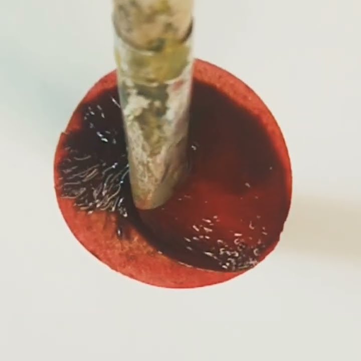 Satisfying Circleрџџ Satisfying Cool Shorts Youtube