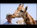 Freedom for Giraffes | Animal Conservation | BBC Studios