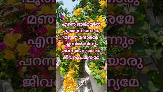 ആയിരം കണ്ണുമായ്... #shortfeed  #ytshort #shortsfeed #viralvideo #youtubevideo #yesudas #ytshorts