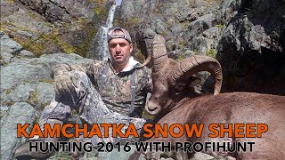 Kamchatka Snow Sheep hunting 2016 with ProfiHunt