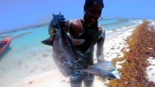 47 Miles at Sea freediving spearfishing jamaica Excellent day out