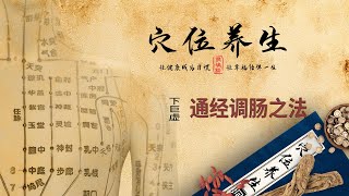 经络穴位养生 - 下巨虚穴 - 通经调肠之法